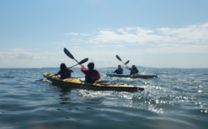 YLA Kayak.jpg YLA Kayak.jpg