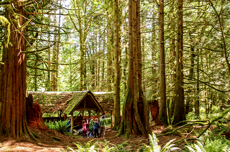 Forest-School.png