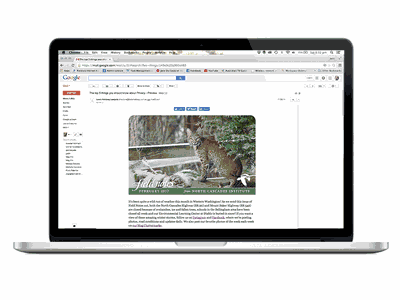 e-news